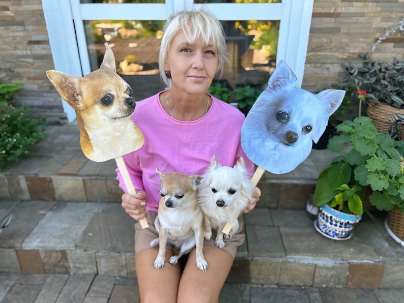 May include: A woman is holding two small white dogs and two cardboard cutouts of chihuahua dogs. One cutout is brown and white, and the other is light blue. The woman is wearing a pink shirt and brown shorts.