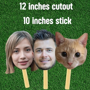 Custom Face on a stick, face mask, 30th birthday, 25th birthday