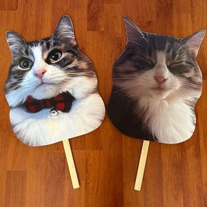 Kattenbruiloft, rekwisieten bruiloft fotohokje, gezicht op een stokje, gezicht huisdier op stok, custom hoofd photobooth prop, kat uitgesneden, dikke koppen huisdier