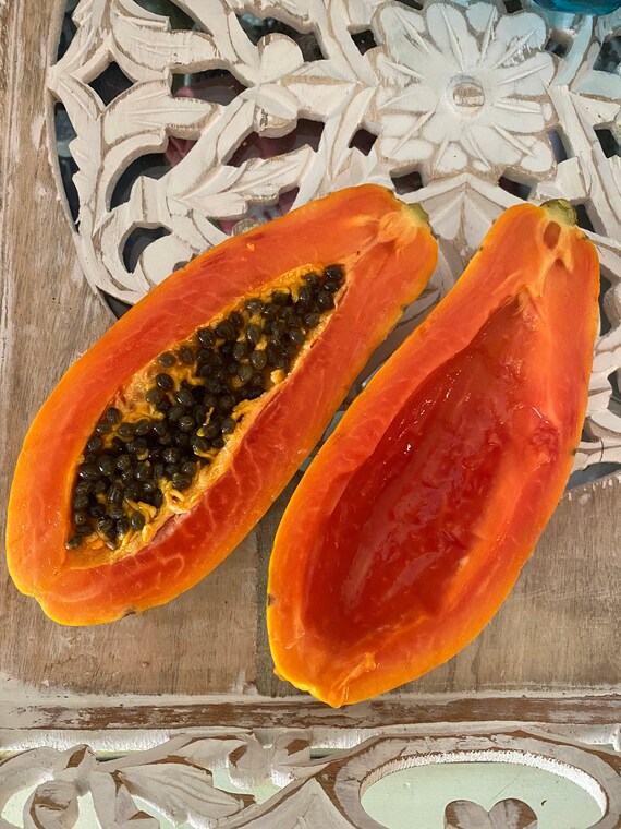 Watermelon Papaya Seeds Etsy