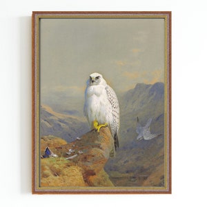CANVAS ART PRINT | A Greenland Falcon on a Rocky Outcrop Painting | Antique Falcon Oil Painting | Bird Art Print | Falconry Gift