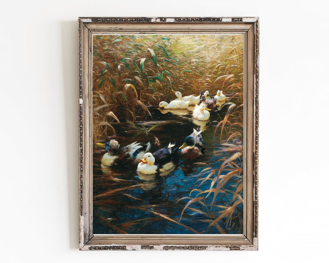 DRUCKBARE KUNST Enten Ölgemälde Vintage Tiere Kunstdruck Teich Malerei