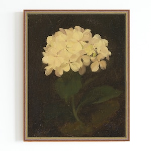 Op de afbeelding: Een ingelijst schilderij van een witte hortensia met groene bladeren op een donkere achtergrond.
