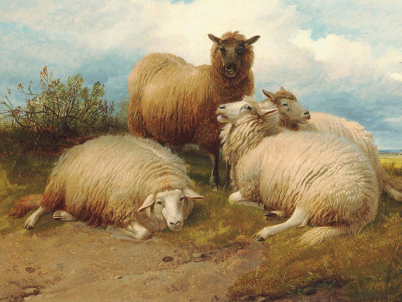 CANVAS ART PRINT Vintage Sheep Painting Antique Wall Art CANVAS ART PRINT Vintage Sheep Painting Antique Wall Art