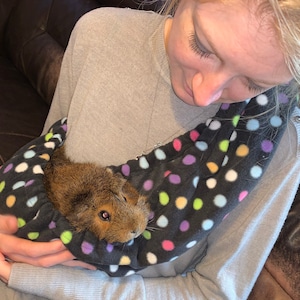 Bonding Scarf / Sling for Guinea Pig/ Ferret/ Rat/ Hedgehog/ small animals