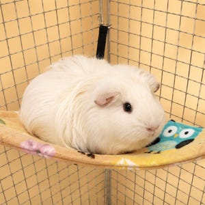 May include: A white guinea pig resting on a beige fabric hammock with a colorful owl and floral pattern. The hammock is suspended by black straps within a wire cage. A white square logo in the corner displays a purple paw print and the text Snuggle Pet.
