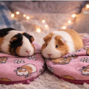 Könnte beinhalten: Zwei Meerschweinchen liegen auf rosa Haustierbetten. Eines hat schwarzes, braunes und weißes Fell, das andere ist orange und weiß. Die Betten sind mit Meerschweinchen- und Blumenmustern verziert. Das Bild hat eine weiche, warme Ästhetik.