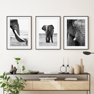 Elephant, three photos, Black and White, Printable Wall Art, Digital Download Art, Elephant Photo, Elephant Wall Art, Elephant Prints