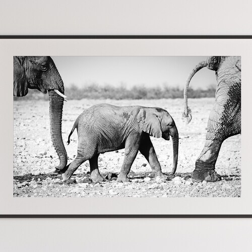 Elephant Print Black and White Printable Wall Art Digital Etsy Canada