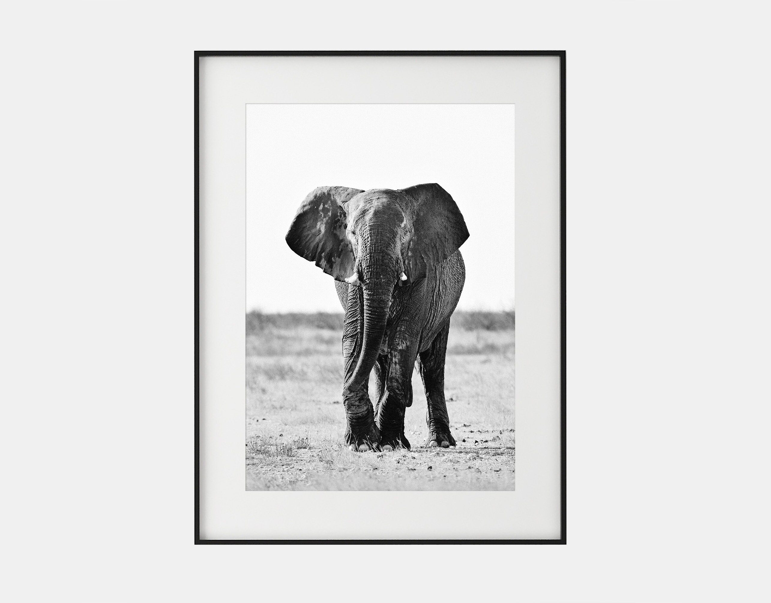 Elephant, Three Photos, Black and White, Printable Wall Art, Digital Download Art, Elephant