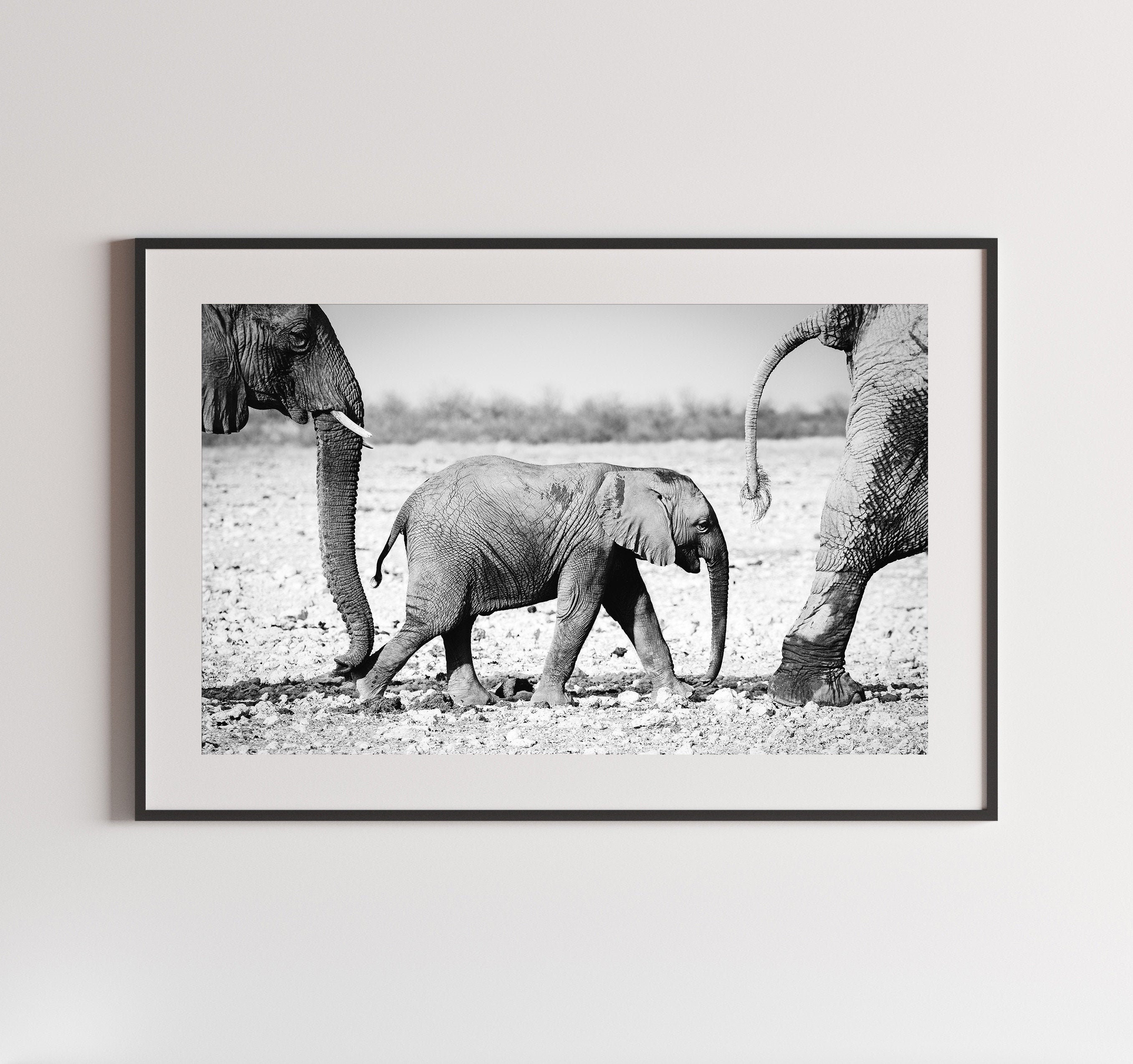 Elefante Del Bebe Blanco Y Negro Arte De La Pared Etsy
