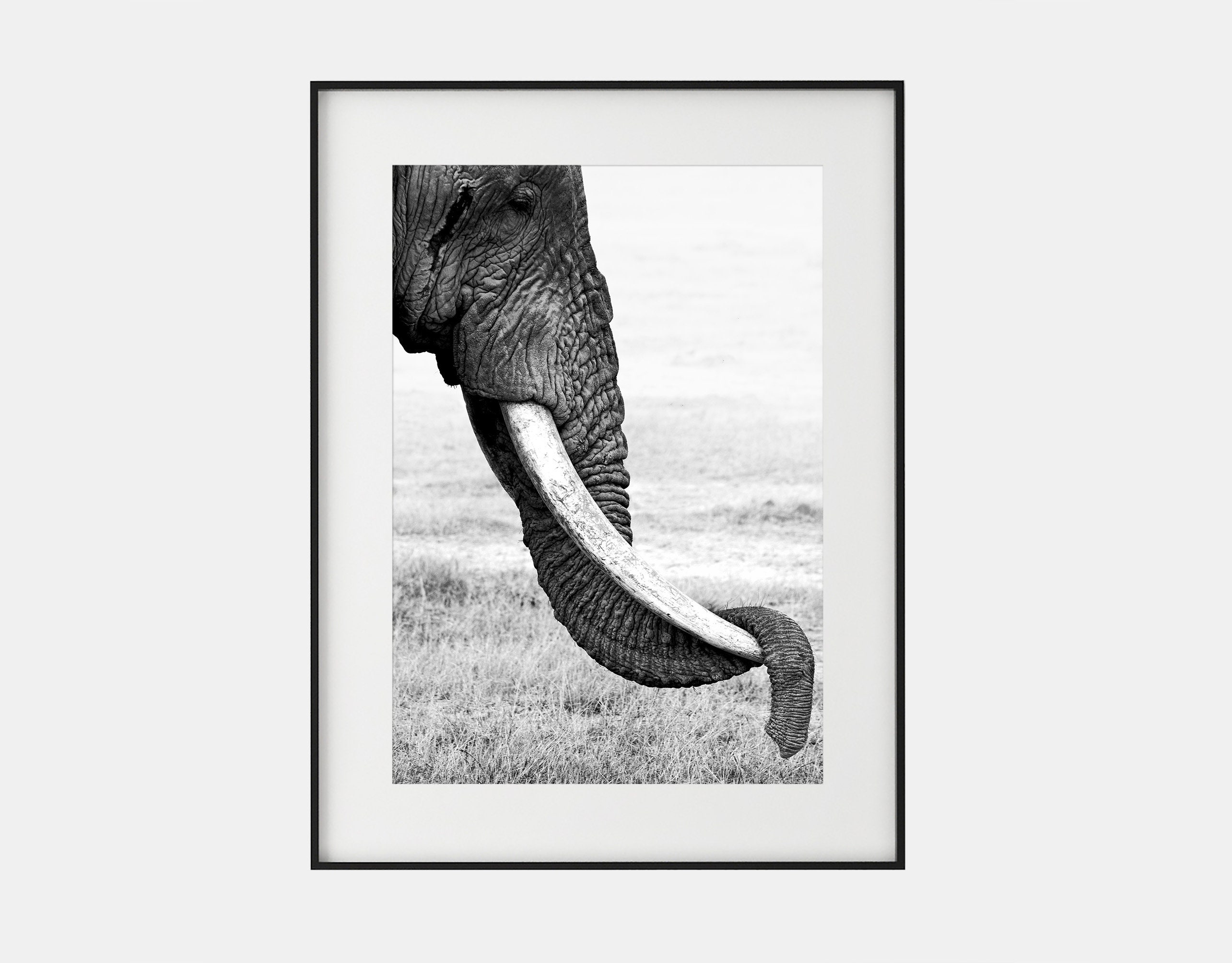 Elephant, Three Photos, Black and White, Printable Wall Art, Digital Download Art, Elephant