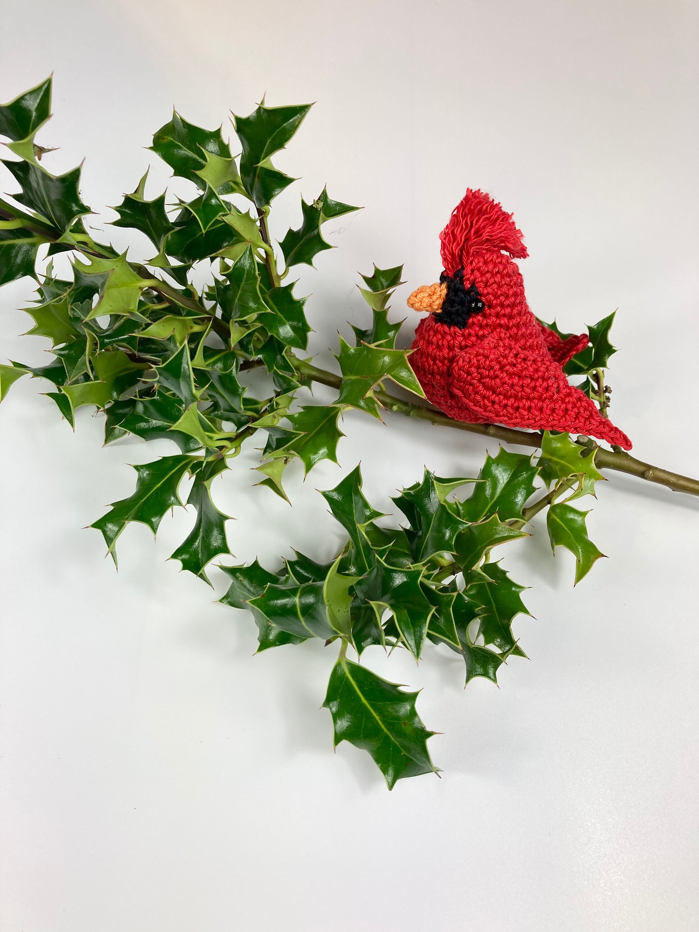 Cardinal Crochet Pattern. A Digital Download Pattern With Step Etsy UK
