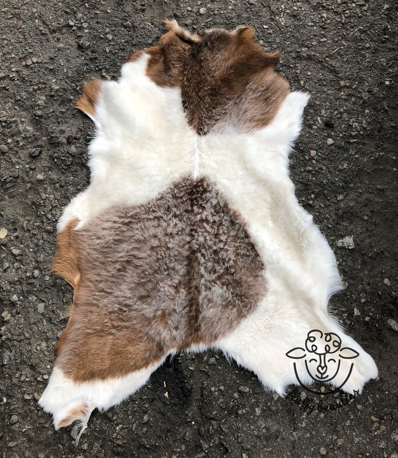 Giant Curly Genuine Natural 100/% Goat Skin Goat hide Goat Skin rug Area Rug Shag Rug Beautiful Durable leather Animal Pelt #3