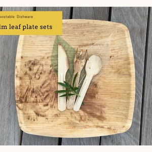 Disposable Square Dinnerware Set, Palm Leaf Plates Set for Wedding, Single Use Bamboo Plates, Biodegradable Appetizer and Dessert plates image 7