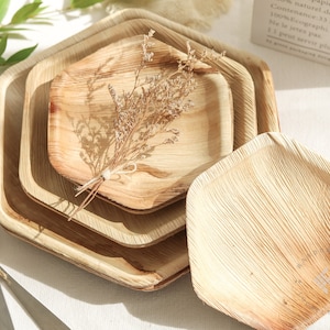 Palm Leaf Plates Set for Wedding, Disposable Bamboo Dishware Set, Hexagon Plate, Biodegradable Appetizer, Dessert plates for Outdoor Parties