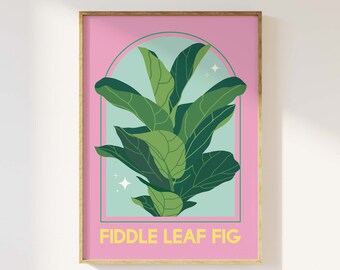 May include: A pink and green illustrated poster with a fiddle leaf fig plant in an archway. The text "FIDDLE LEAF FIG" is in yellow letters at the bottom of the poster.