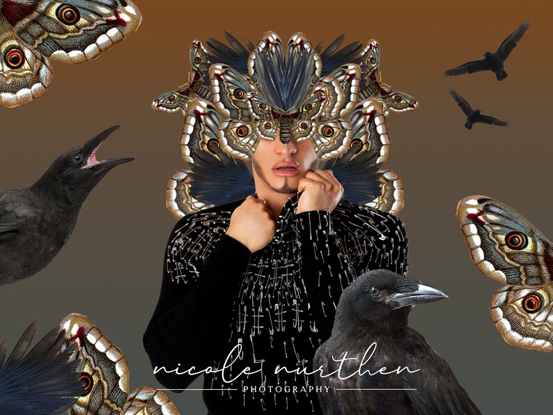 May include: A person wearing a black sweater with a large butterfly mask made of many butterfly wings. The mask covers the person's face and eyes. There are several black crows and butterflies in the background. The text "nicole nurthen PHOTOGRAPHY" is at the bottom of the image.