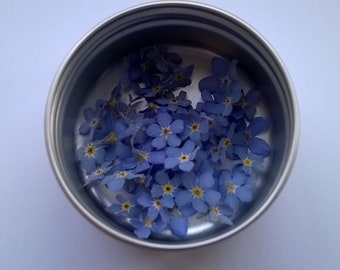 Può includere: Un contenitore di metallo argentato pieno di fiori blu nontiscordardime.