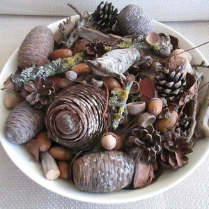 Forest floor potpourri, Woodsy fragrance, Natural table centerpiece, Eco home decor, Biodegradable, Zero waste