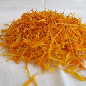 Pu&ograve; includere: Un mucchio di petali di calendula essiccati di colore arancione. I petali sono lunghi e sottili e sono disposti in un mucchio sciolto.