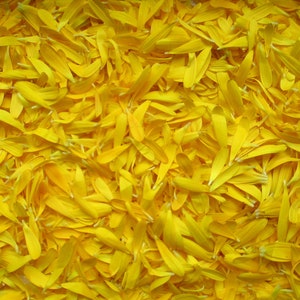Pu&ograve; includere: Un'immagine ravvicinata di un mucchio di petali di fiori gialli. I petali sono morbidi e delicati e sono disposti in uno schema casuale.
