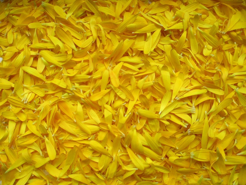 Pu&ograve; includere: Un'immagine ravvicinata di un mucchio di petali di fiori gialli. I petali sono morbidi e delicati e sono disposti in uno schema casuale.