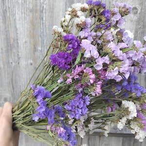 May include: A bouquet of dried statice flowers featuring a vibrant mix of deep purple, light lavender, soft pink, and crisp white blossoms. The flowers are arranged on long, slender green stems, showcasing a variety of textures and colours.