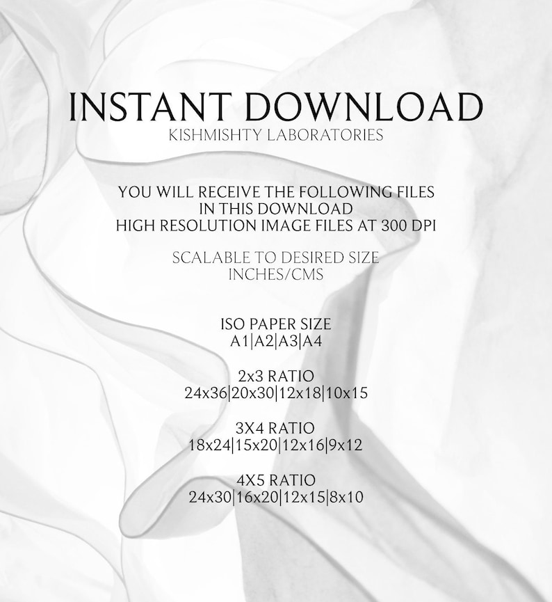 Persian / Farsi Alphabet Printable Art, Farsi Language Digital Print