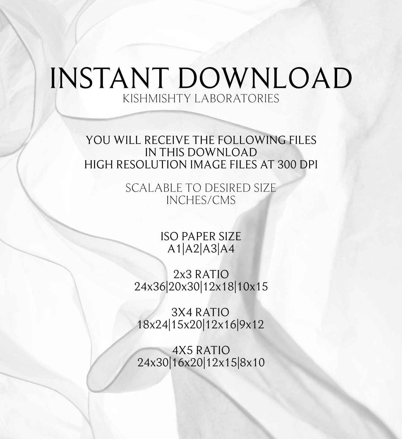 Persian / Farsi Alphabet Printable Art, Farsi Language Digital Print ...