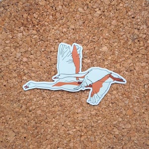 Sticker oies
