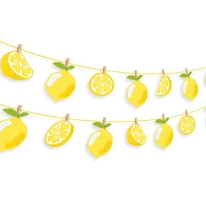 Lemon Citrus Garland Banner,A Little Lemon Baby Shower Decor,Lemon Birthday Decorations,Lemon Summer Party Supplies Banner