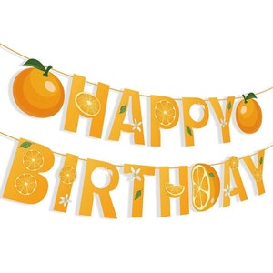 Orange Citrus Happy Birthday Banner, Little Cutie Theme Birthday Decoration, Fruit Summer Party Supplies, Orange Theme Party Decor Banner