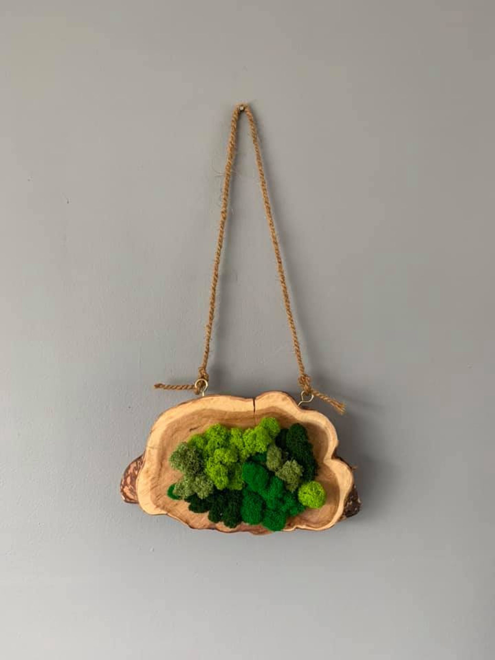 Moss Art: Preserved Reindeer Moss Art and Wood Hanging Wall | Etsy