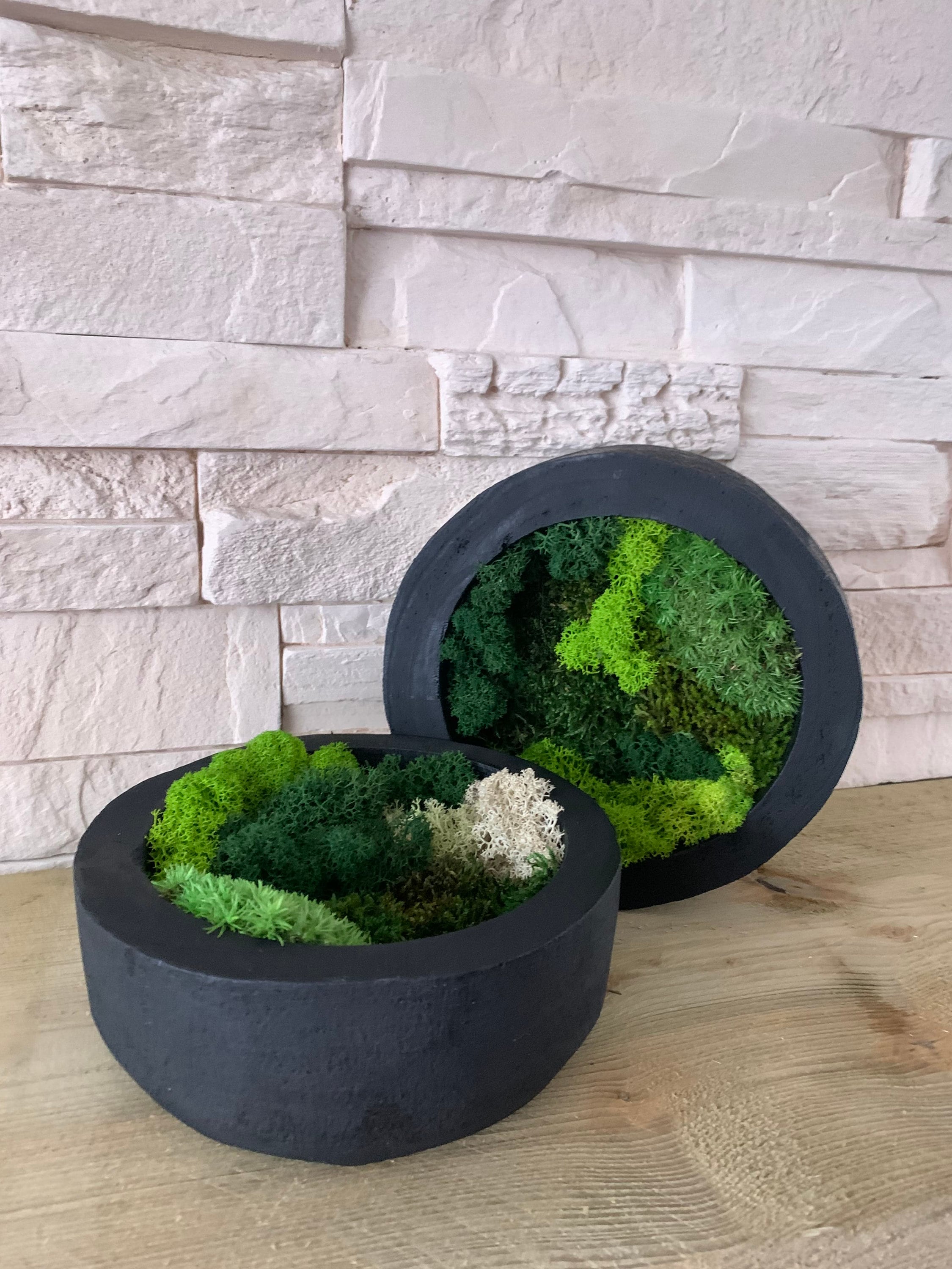 4. Living Art: The Mossy Bowl