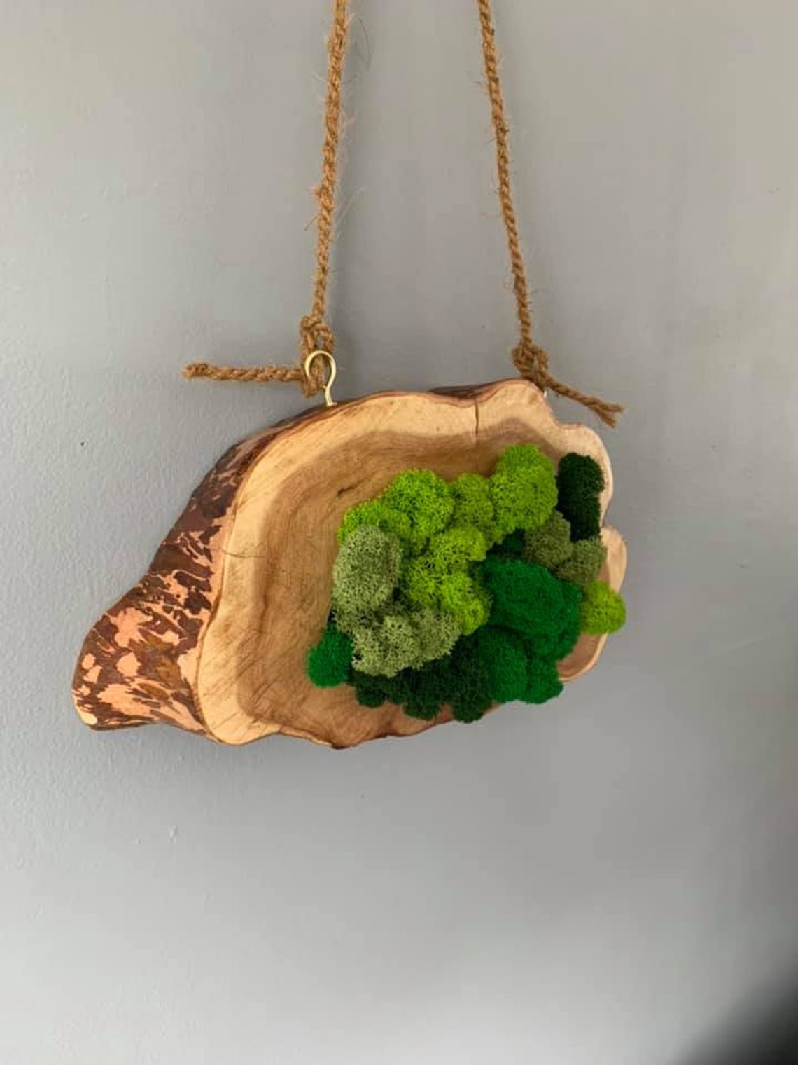 Moss Art Preserved Reindeer Moss Art and Wood Hanging Wall Etsy