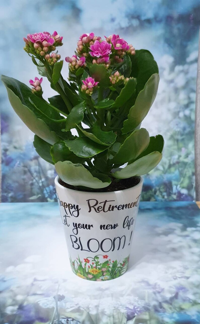 Retirement plant pot. planter Happy retired leaving gift. Etsy