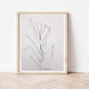 May include: A framed art print featuring a minimalist line drawing of a corn stalk. The artwork is in black ink on a light background, with the word "Corn" handwritten at the bottom. The frame is made of light-colored wood.
