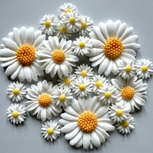 26 margherite commestibili in fiore, decorazioni per cupcake e torte di zucchero, decorazioni per compleanni o matrimoni