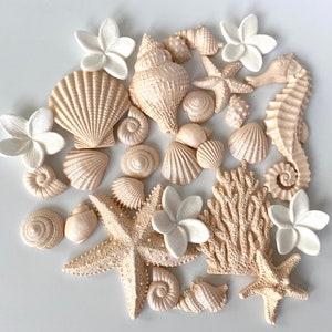 Könnte beinhalten: Eine Sammlung von beige und weißen Kuchendekorationen in Form von Muscheln und Seesternen. Die Dekorationen umfassen Muscheln, Seesterne, Korallen und Seepferdchen.