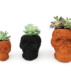 Op de afbeelding: Drie schedelvormige bloempotten, elk met een vetplant. De potten zijn terracotta en zwart, met bloemmotieven. De planten hebben groene en paarse bladeren. Het logo "A LA GRAN CATRINA" staat linksboven.