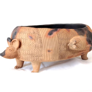 May include: A ceramic planter shaped like an armadillo, with a brown and black color scheme. The planter has a textured surface with carved details and is supported by four small legs. The armadillo has a detailed face and ears.