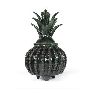 Ananas gliniasty Michoacan - Biznaga o zielonych kwiatach - Tangancicuaro - 45 cm. 18 cali