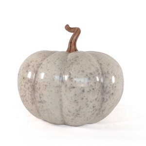 May include: A ceramic pumpkin with a speckled, light grey finish. The pumpkin has a brown stem and is a decorative item for autumn. The pumpkin is a seasonal home decor item.