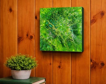 Study in Green 2