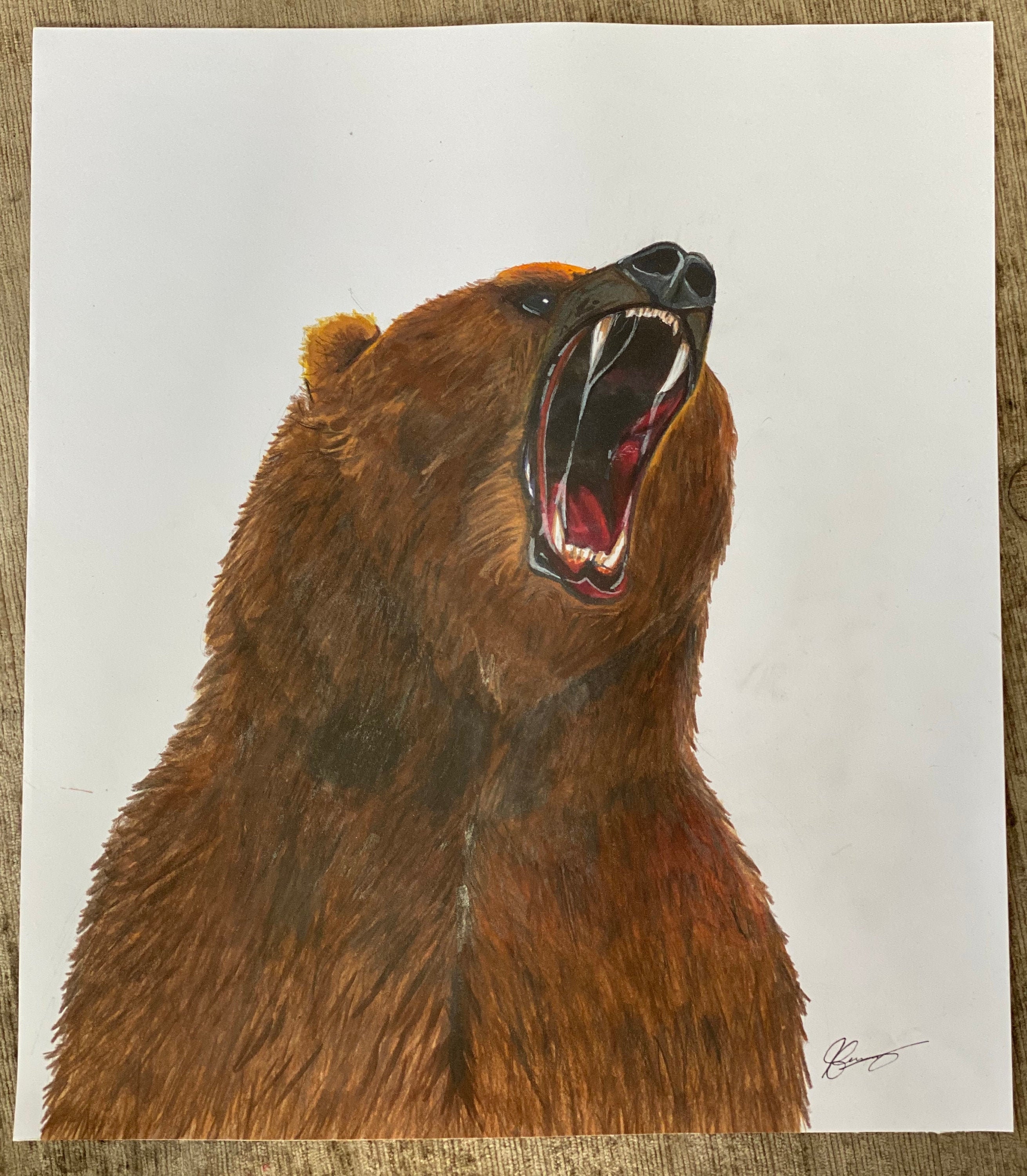 Original Pen and Pencil Drawing of a Bear - Etsy