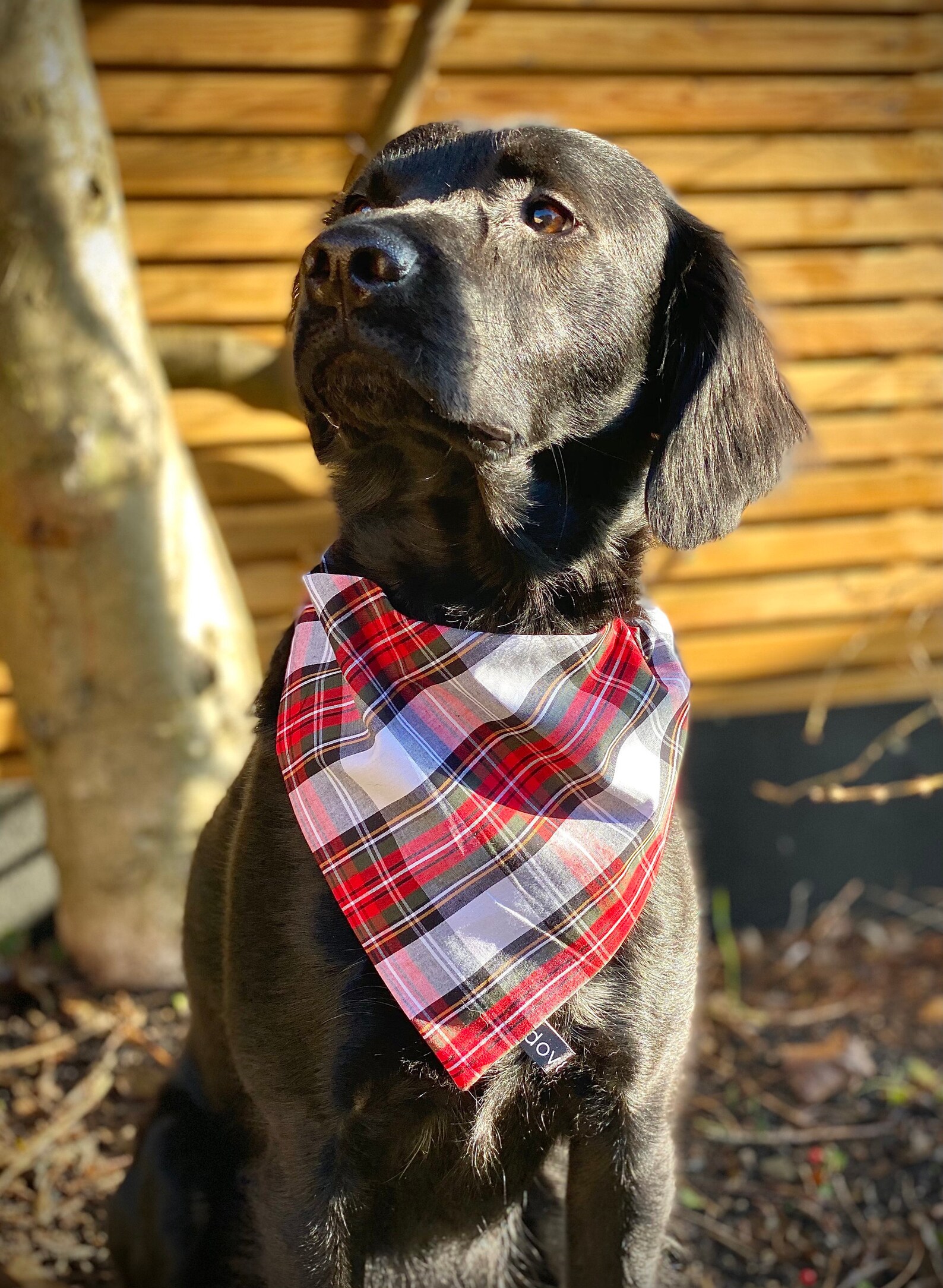 Red Tartan Dog Bandana Over The Collar Dog Bandana Slip On Etsy