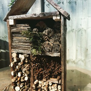 Bug hotel