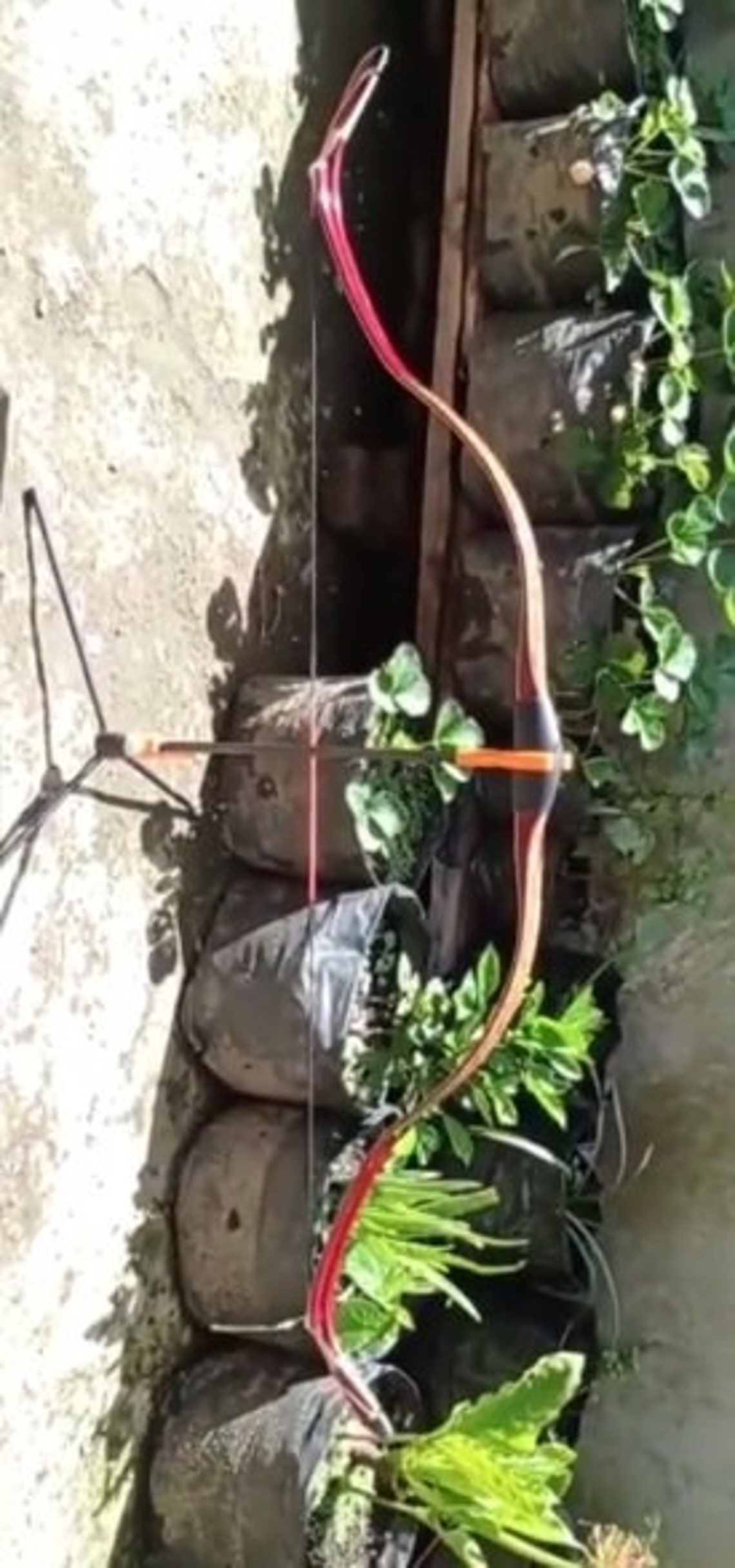 Ottoman Bow Turkish Bow Beautiful Traditional Bows for Sale Etsy