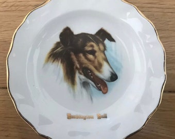 Fine Bone China Porcelain Miniature Plate -Portrait Of A Border Collie Free Post